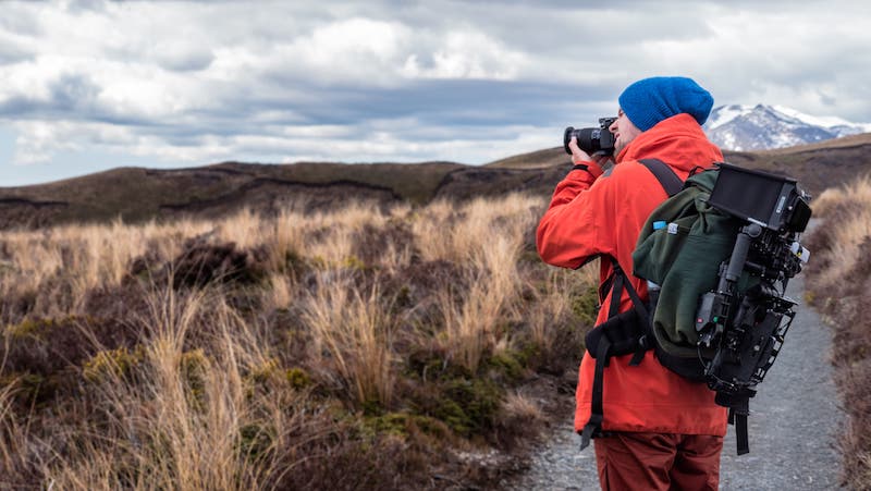 Capturing The Beauty of Grassland